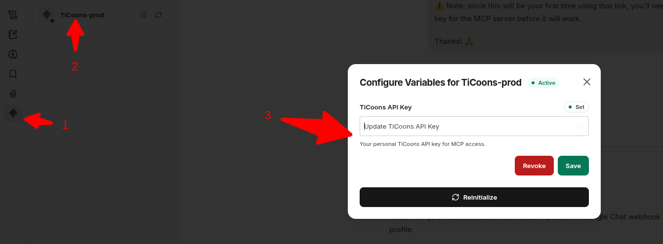LibreChat MCP server connection dialog with API key field